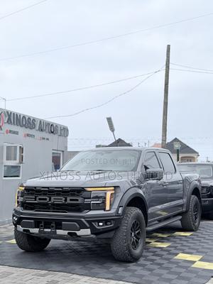 Ford F-150 Raptor 2024 Gray