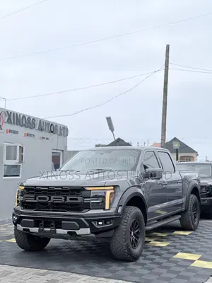 Ford F-150 Raptor 2024 Gray