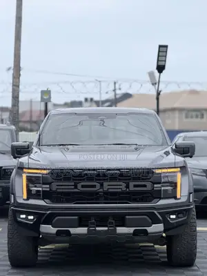 Ford F-150 Raptor 2024 Gray