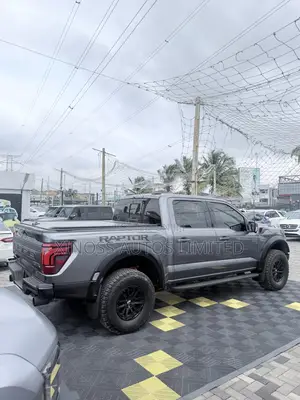Ford F-150 Raptor 2024 Gray