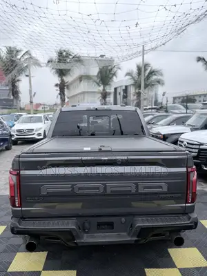 Ford F-150 Raptor 2024 Gray