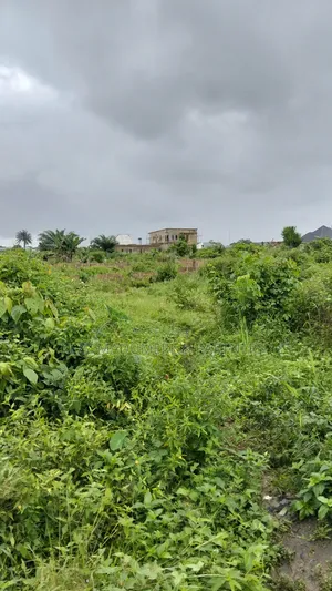 For Sale : 4 1⁄2 Plots Aba Owerri Road Naze Owerri