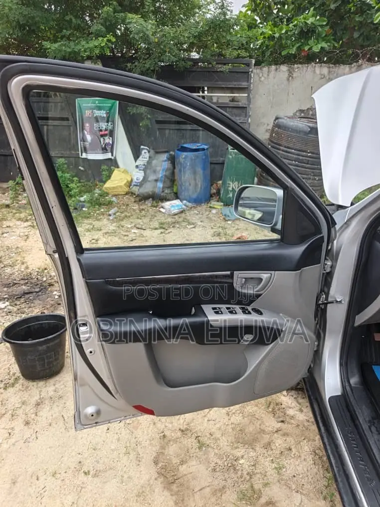 Hyundai Santa Fe 2009 Silver