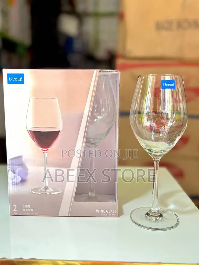 2 Piece Elegant Wine Glasses