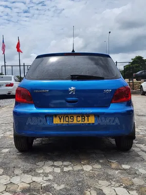 Peugeot 307 2009 Blue
