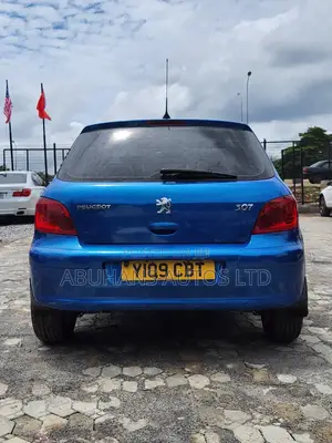 Peugeot 307 2009 Blue
