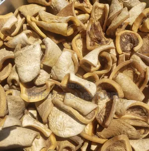 Pomo / Dried Cow Skin