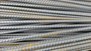 Iron Robs and Steel Bars
