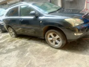 Lexus RX 330 2004 Gray