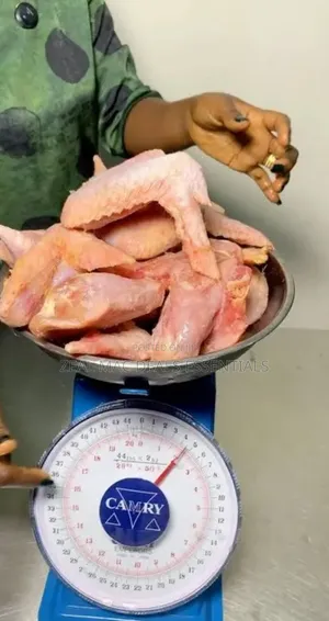 Kitchen/ Commercial Weighing Scale 20kg