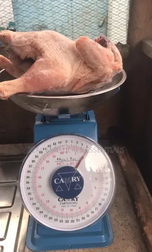 Kitchen/ Commercial Weighing Scale 20kg