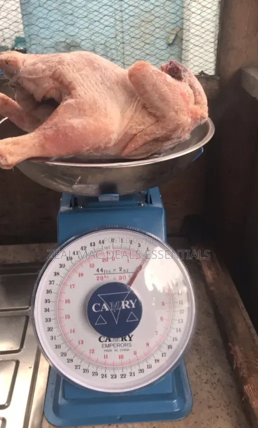 Kitchen/ Commercial Weighing Scale 20kg