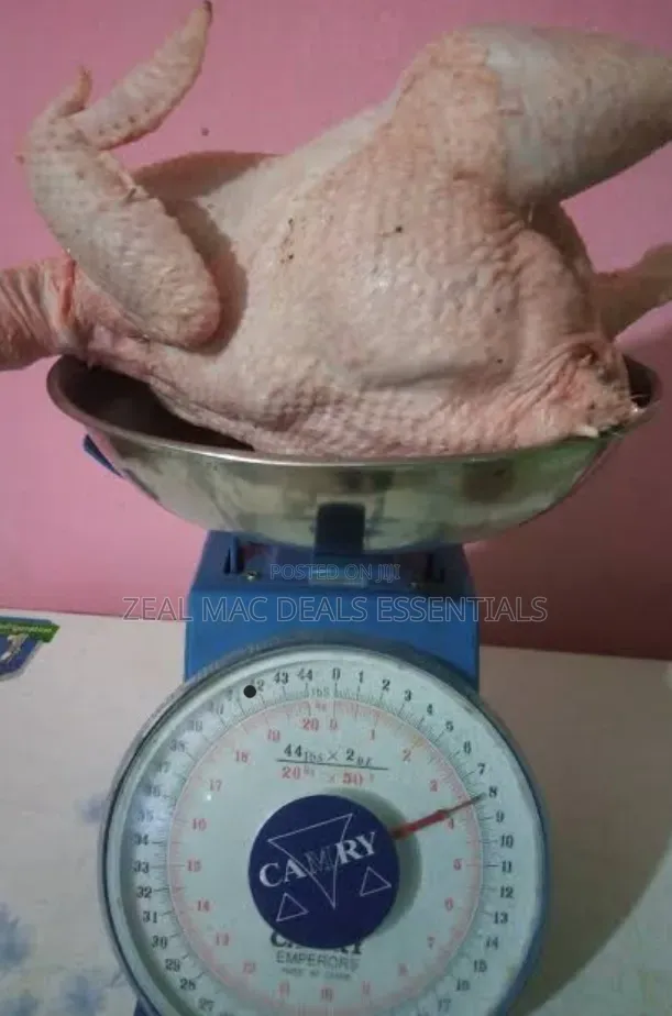 Kitchen/ Commercial Weighing Scale 20kg