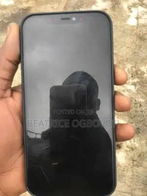 Apple iPhone 12 Pro Max 128 GB Blue