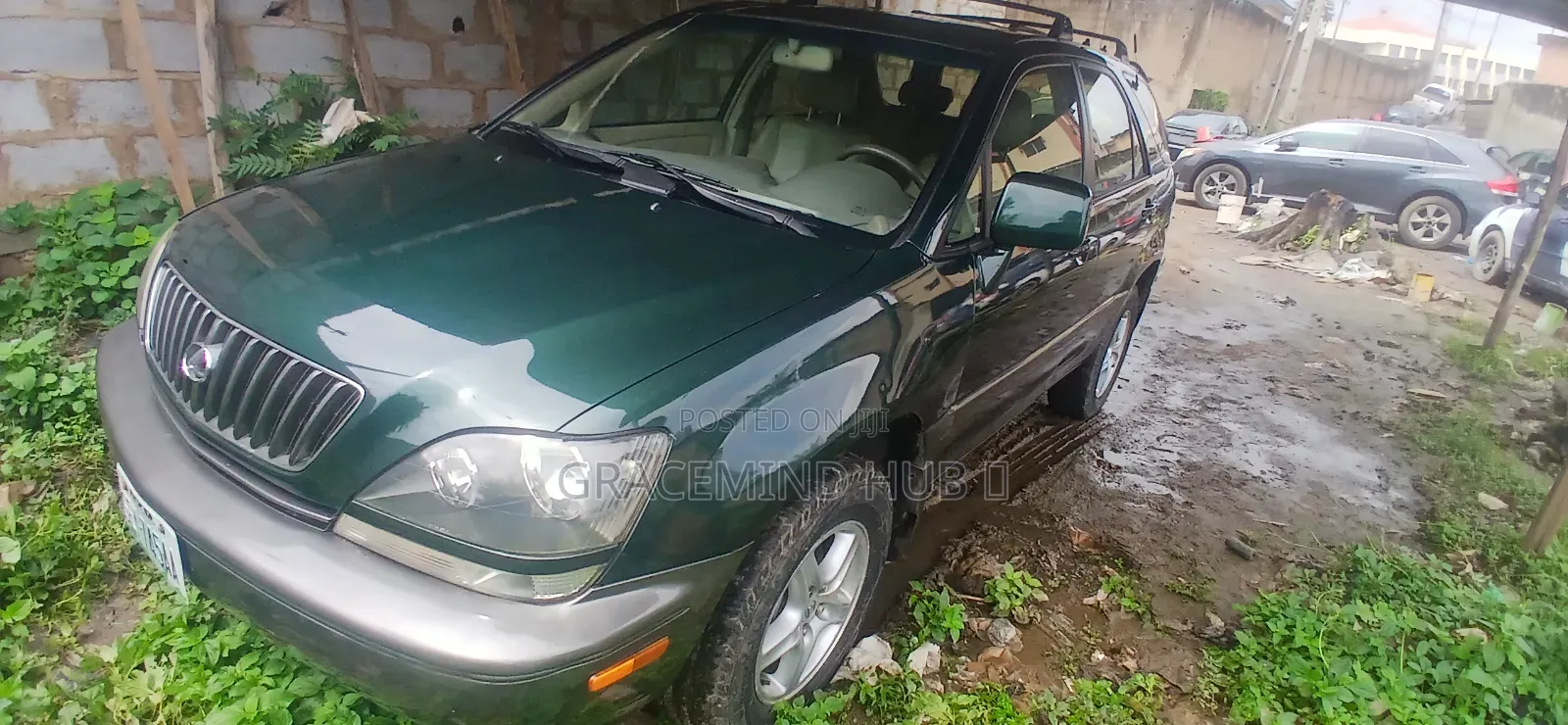 Lexus RX 2000 Green