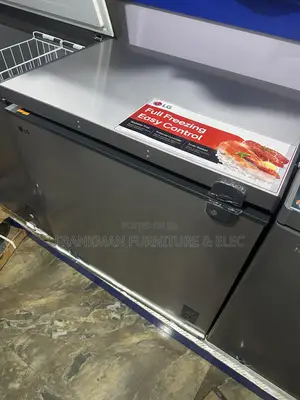 LG Freezer Model 205