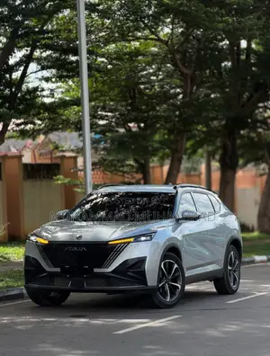 New Dongfeng Captain 2025 Silver