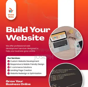 Professional Website Design Development