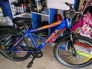 Size 24 Bicycle