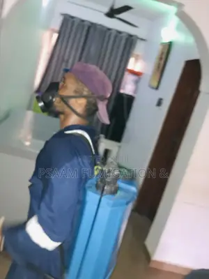 Professional Fumigation Cleaning Services