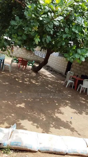 Land for Sale in the Heart of Cashew Garden, Sauka Abuja.