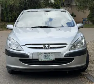 Peugeot 307 2004 Silver