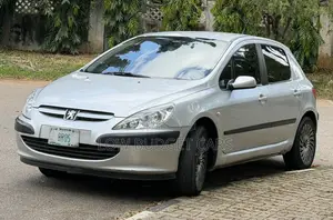 Peugeot 307 2004 Silver