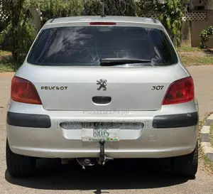 Peugeot 307 2004 Silver