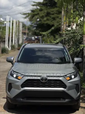 Toyota RAV4 XLE AWD 2023 Silver