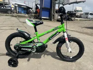 Kawasaki Bike