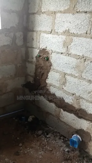 Plumbing Sentry Filithings