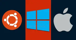 Windows / Linux / Apple MacOs Installation and Repair