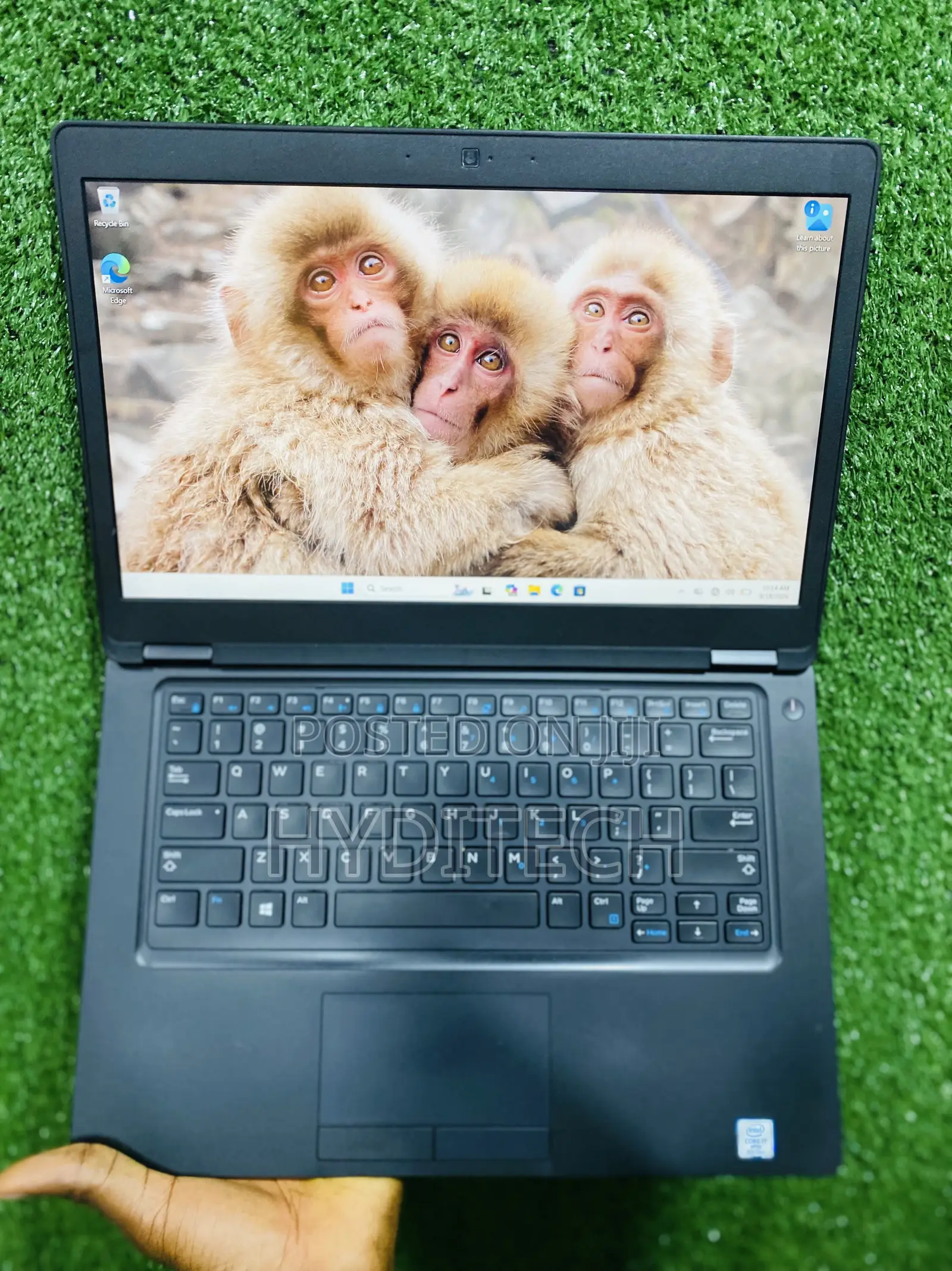 Laptop Dell Latitude 5490 8GB Intel Core i7 SSD 256GB