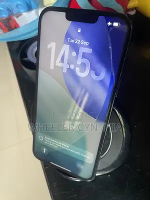 Apple iPhone 13 Pro Max 128 GB Gray