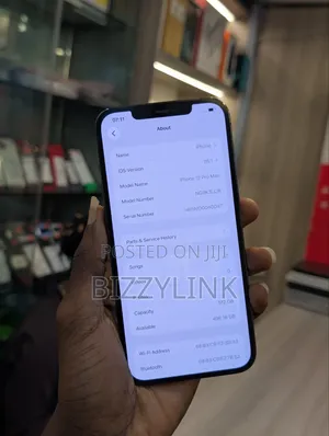 Apple iPhone 12 Pro Max 512 GB Graphite