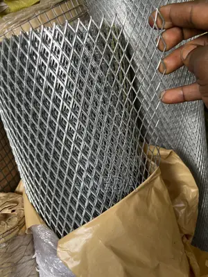 Expanded Mesh