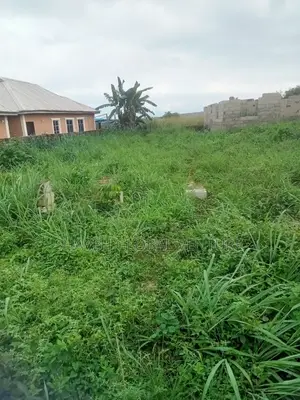 Half Plot Sale at Abiola Gasline Cannacity