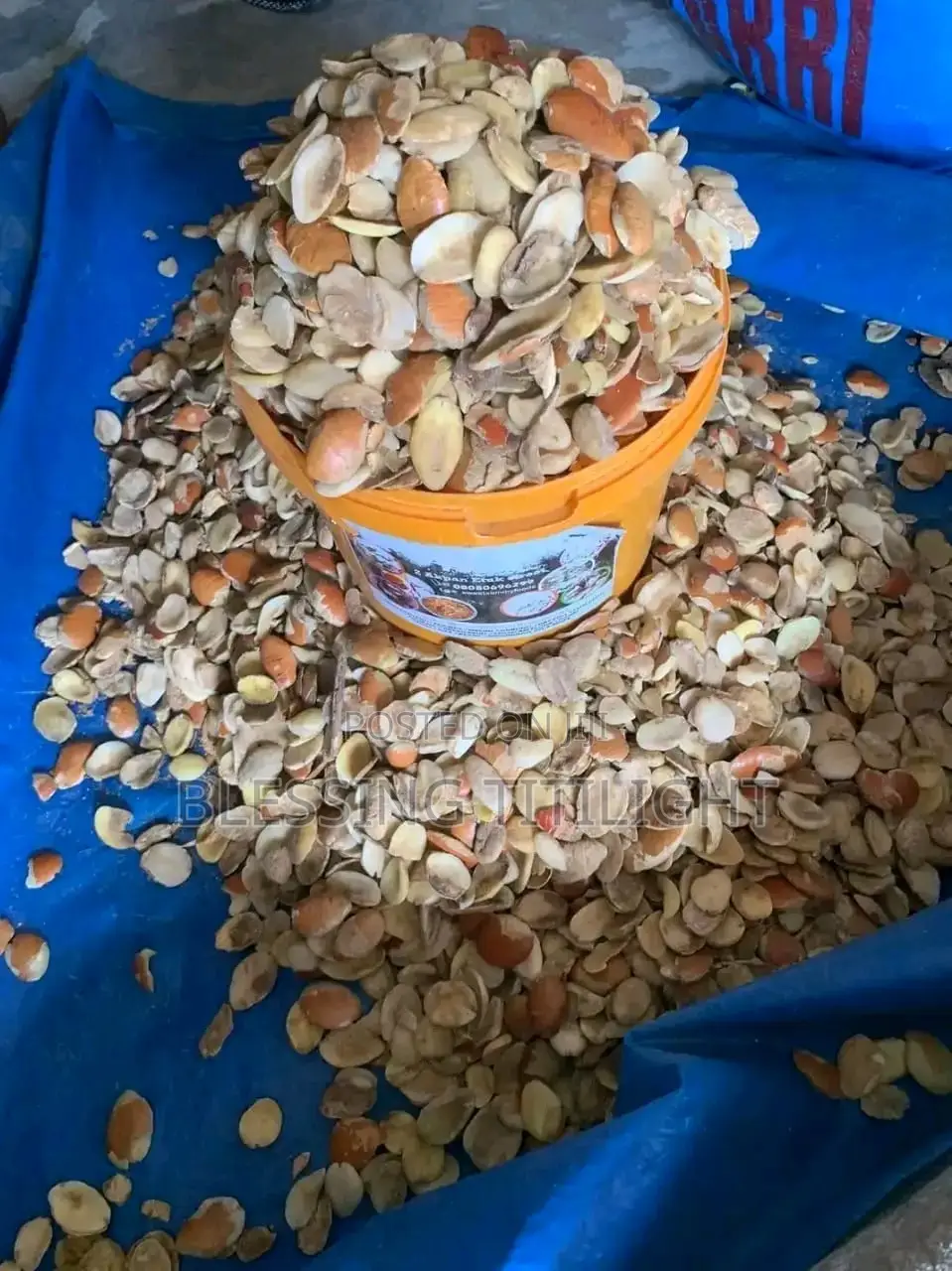 Original Dry Ogbono Seeds