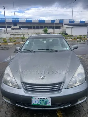 Lexus ES 330 Sedan 2004 Gray