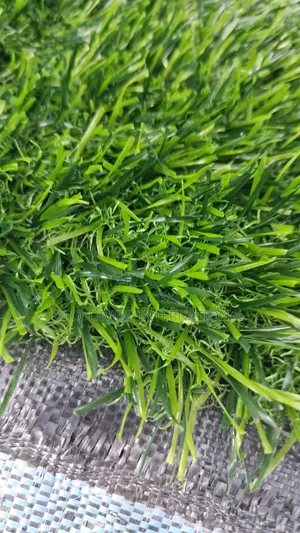Hard Base Too Quality Football Grass