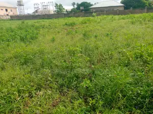 2500sqm. Commercial Land for Sale in Wuse 2, Abuja – Nigeria.