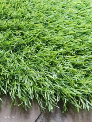 Grass Turf Standard