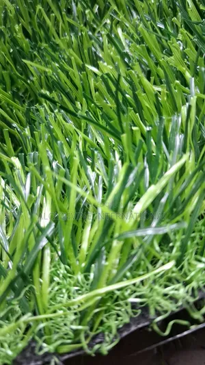 Grass Carpet for Football