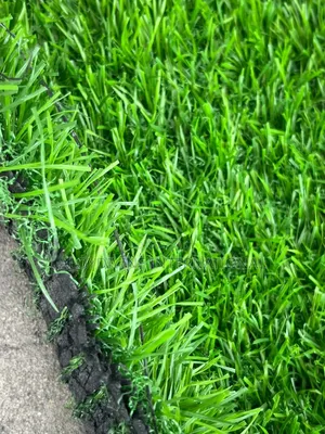 Top Grade Artificial Grass for Football Pitch