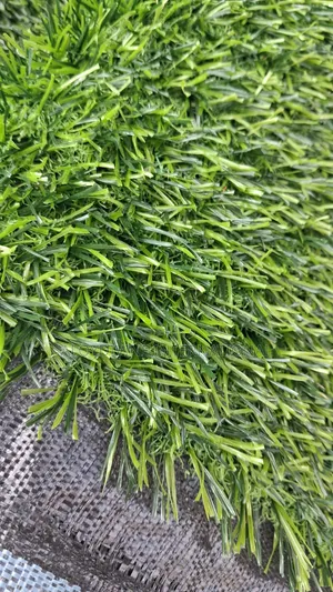 Football  Grass