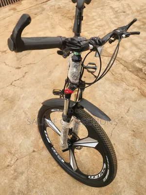 Adult Foldable Alloyed Bicycle