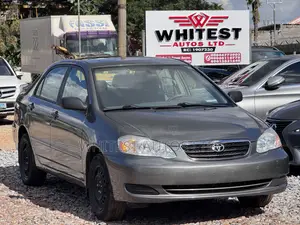 Toyota Corolla LE 2007 Gray