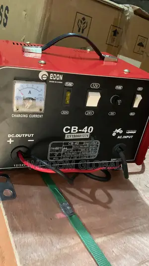 Original 40ah Battery Charger 12to24v Is Available