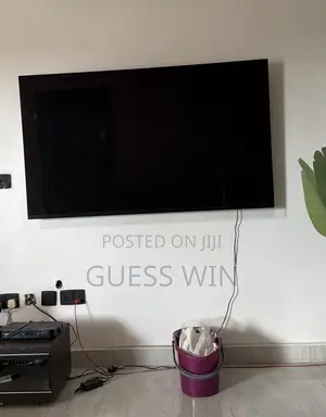 LG Oled65e8pla 65 Inch LG Oled TV