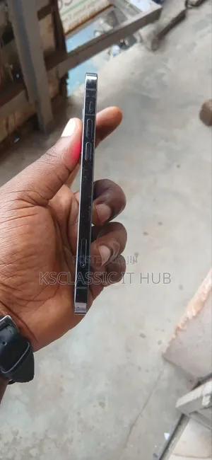 Apple iPhone 12 Pro 256 GB Gray